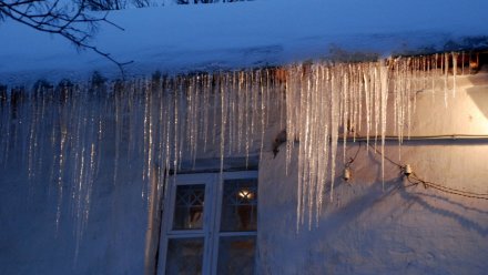 Короткая оттепель придёт в Воронежскую область