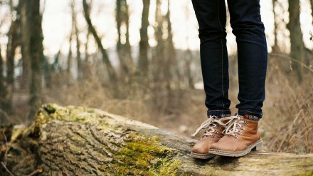 Начало рабочей недели в Воронежской области будет пасмурным и тёплым
