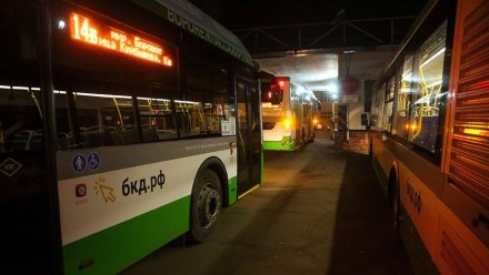 В Воронеже вышли на маршрут новые пассажирские автобусы большого класса