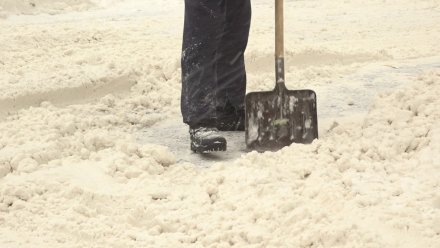 В Воронеже перекроют улицу ради уборки снега и наледи