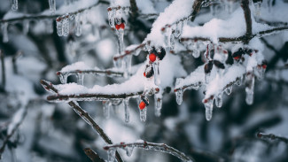 Прогноз погоды на 7.01.2022