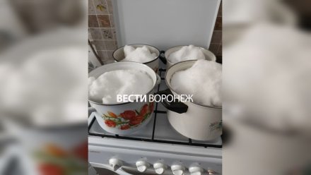 Жители воронежского села начали топить снег на плите из-за отсутствия воды