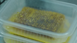 Дягилевый и снытевый. Воронежцам предложили купить необычный мёд