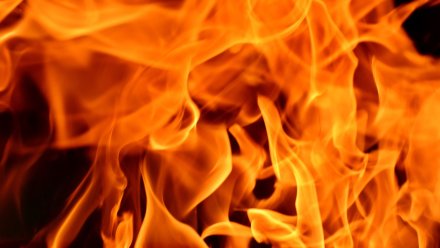 В воронежской райбольнице произошёл пожар: есть погибший