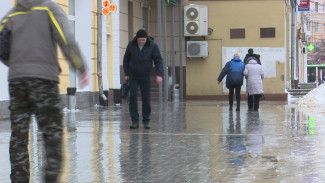 Каток на улицах Воронежа продержится 2 дня