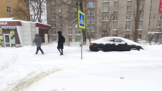 Синоптики рассказали, когда закончится декабрьская оттепель в Воронеже