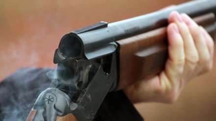 В воронежском селе произошла стрельба из-за рецидивиста, угрожавшего ружьём полицейским