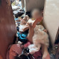 В Воронеже на пороге захламлённой квартиры бросили 74-летнюю женщину-инвалида
