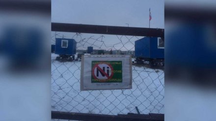 Губернатор прокомментировал планы на добычу никеля в Воронежской области