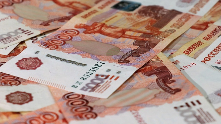 Воронежские сенаторы рассказали, сколько заработали в 2018 году