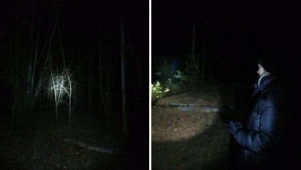 Пропавшую в воронежском лесу старушку спустя двое суток нашли живой