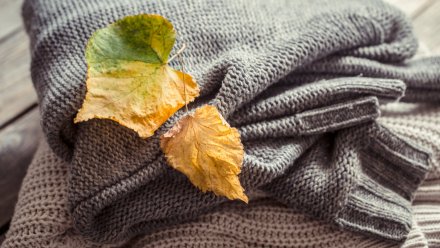 Воронежские синоптики предупредили о похолодании до -1