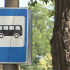 Новый автобусный маршрут запустили в Воронеже