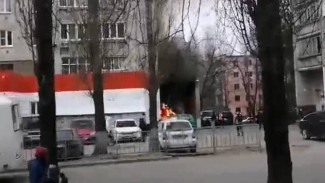 В Воронеже из-за вспыхнувшего на улице мусора загорелась иномарка