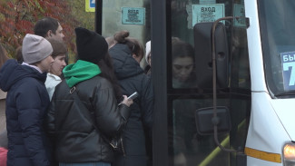 Битва за маршрутки. Воронежские чиновники объяснили проблемы с городским транспортом