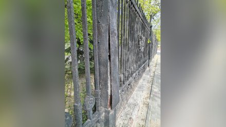 В Воронеже начали разворовывать чугунную ограду Первомайского сада