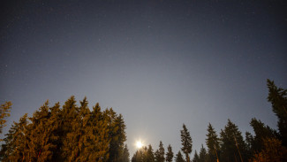 Дроны ВСУ заметили у границ Воронежской области вечером 14 октября