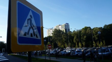 Парковку в Воронежском центральном парке запретили на 4 дня