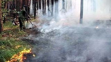В Воронеже и пяти районах области ожидается высший класс горимости