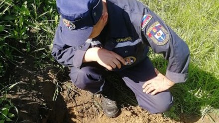 Найденную детьми немецкую мину подорвали в Воронежской области 