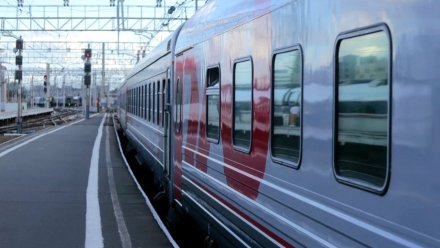 В новогодние каникулы билеты на поезд между Москвой и Воронежем станут дешевле