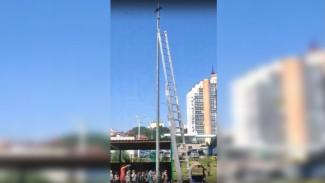 В воронежском детсаду развернули операцию по спасению застрявшей на фонаре птицы