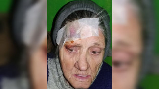 В Воронеже начали поиски пропавшей без вести 78-летней жительницы Тульской области