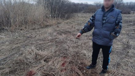 Супруги из Воронежской области незаконно застрелили 4 косуль