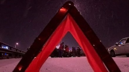 При лобовом столкновении 2 авто на воронежской трассе пострадали ребёнок и трое взрослых
