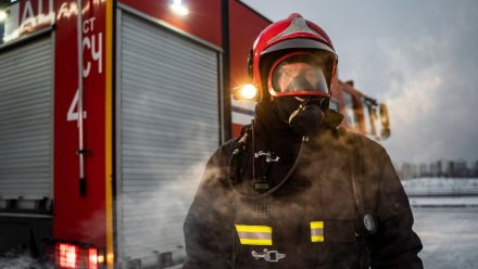 Припаркованный в гараже BMW сгорел при пожаре в Воронежской области