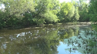 Воронежцы начали расчищать берега реки Осередь