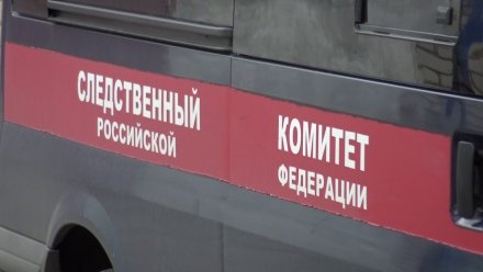 Следком проведёт проверку после ситуации с поставленным на колени подростком в Воронеже