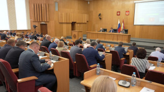 Новые законы для поддержки экономики региона приняли депутаты воронежской облдумы