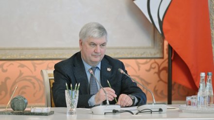 Воронежский губернатор напомнил о запрете на строительство объектов в зонах подтопления