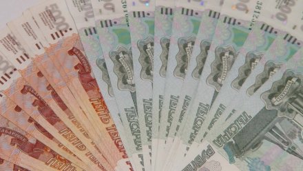 Под Воронежем продавец ответит в суде за взятку полицейскому