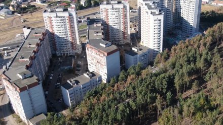 Воронежские власти пообещали спасти Северный лес при строительстве дороги  
