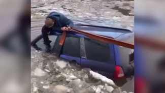В водоёме под Воронежем едва не утонула иномарка: появилось видео