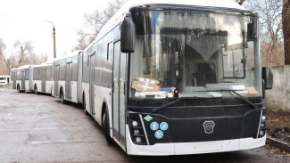 В Воронеже появились первые автобусы-«гармошки»