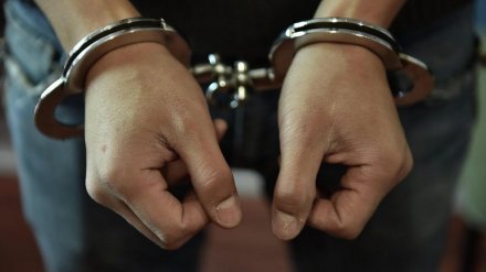 Стали известны подробности убийства 20-летнего студента на улице Воронежа