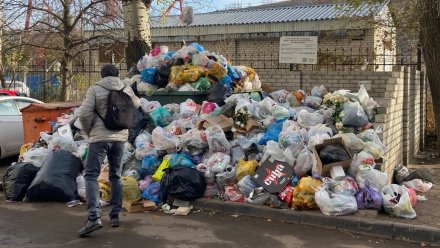 Воронежцы пожаловались на огромную мусорку в центре города