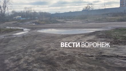 В Воронеже власти пообещали рассмотреть вопрос о ремонте дороги к школе №92