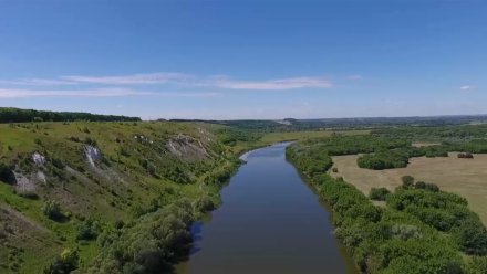 Парк с лабиринтом в Кривоборье под Воронежем создаст фирма из Уфы