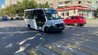 Воронежские чиновники объяснили нехватку маршруток в «Берёзовой роще»