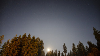 Беспилотники ВСУ приблизились к границам Воронежской области вечером 8 октября