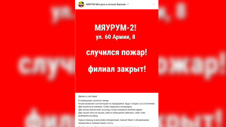 Воронежское котокафе закрыли после пожара