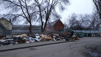 Воронежцы пожаловались на занявшую весь тротуар огромную мусорку