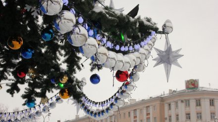 Власти Воронежа начали подготовку к установке новогодней ёлки