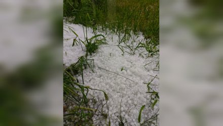 В Воронежской области из-за града, гроз и ветра ввели жёлтый уровень опасности