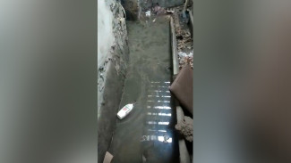 Подвал в воронежском доме оставили затопленным фекалиями вопреки указу о подготовке укрытий