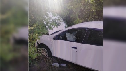 В ДТП с деревом в Воронеже пострадала 15-летняя девочка